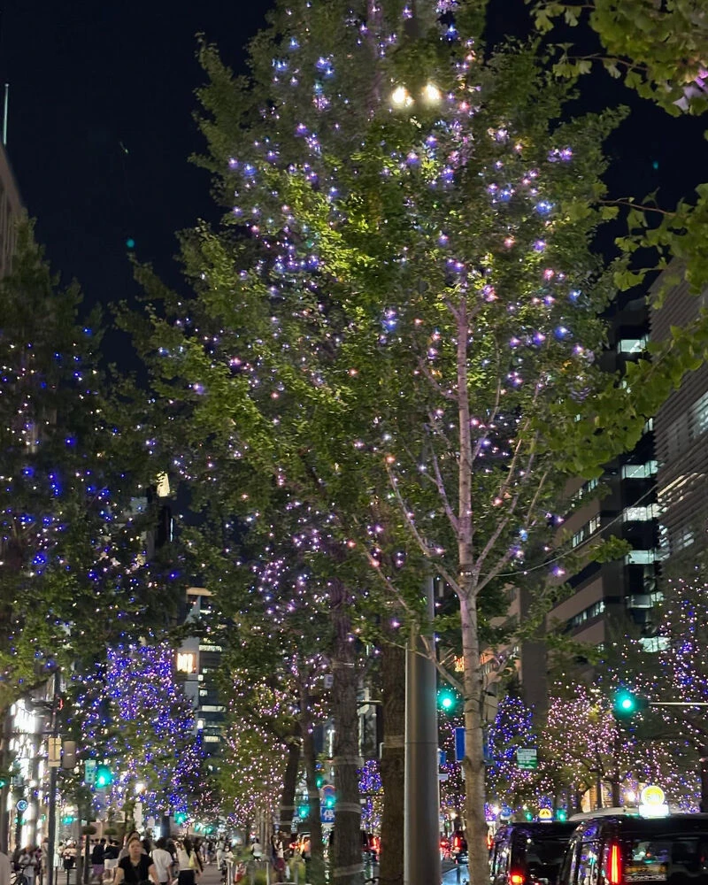 ブログ