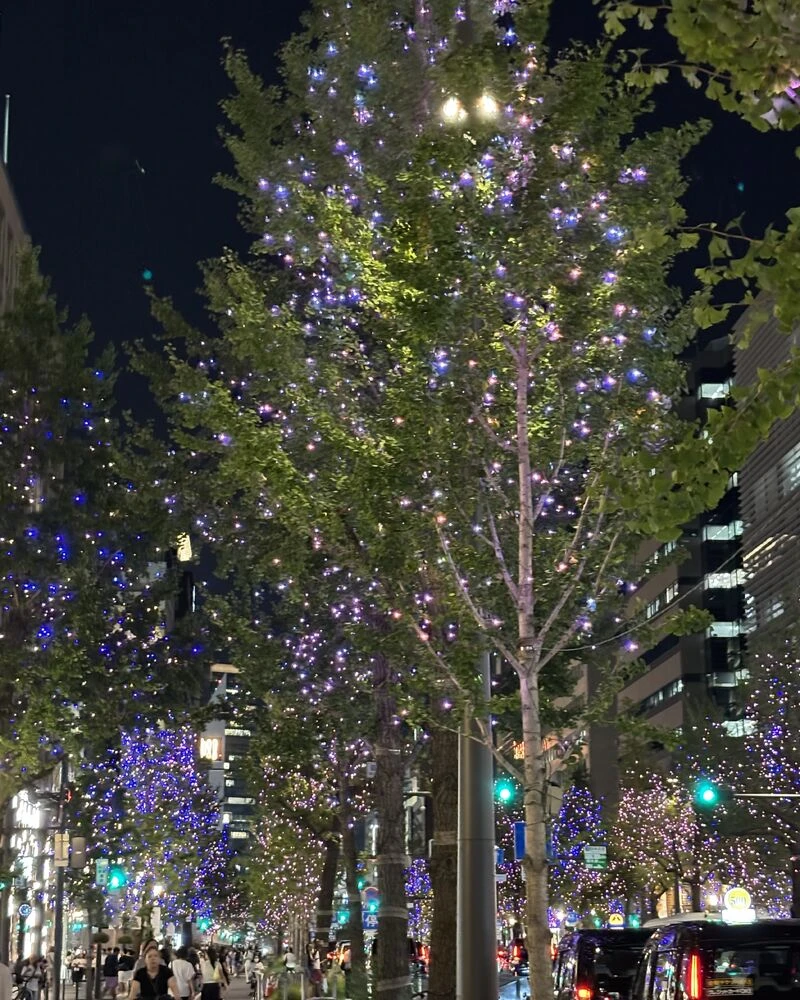 ブログ