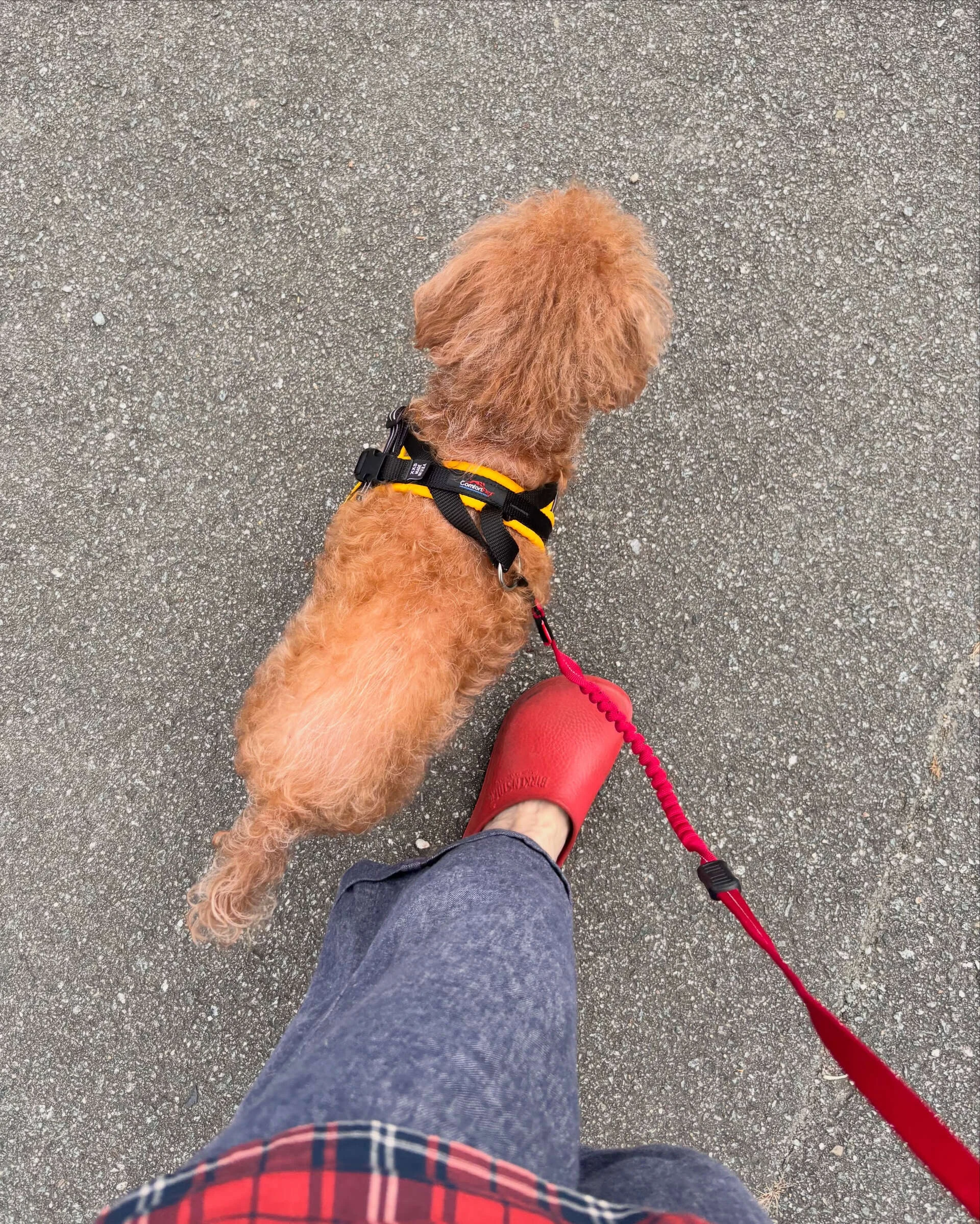 画像6682：今日も良い日