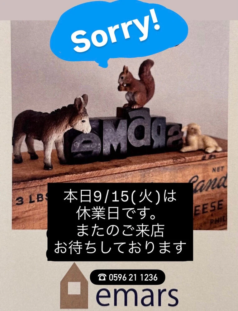 ブログ