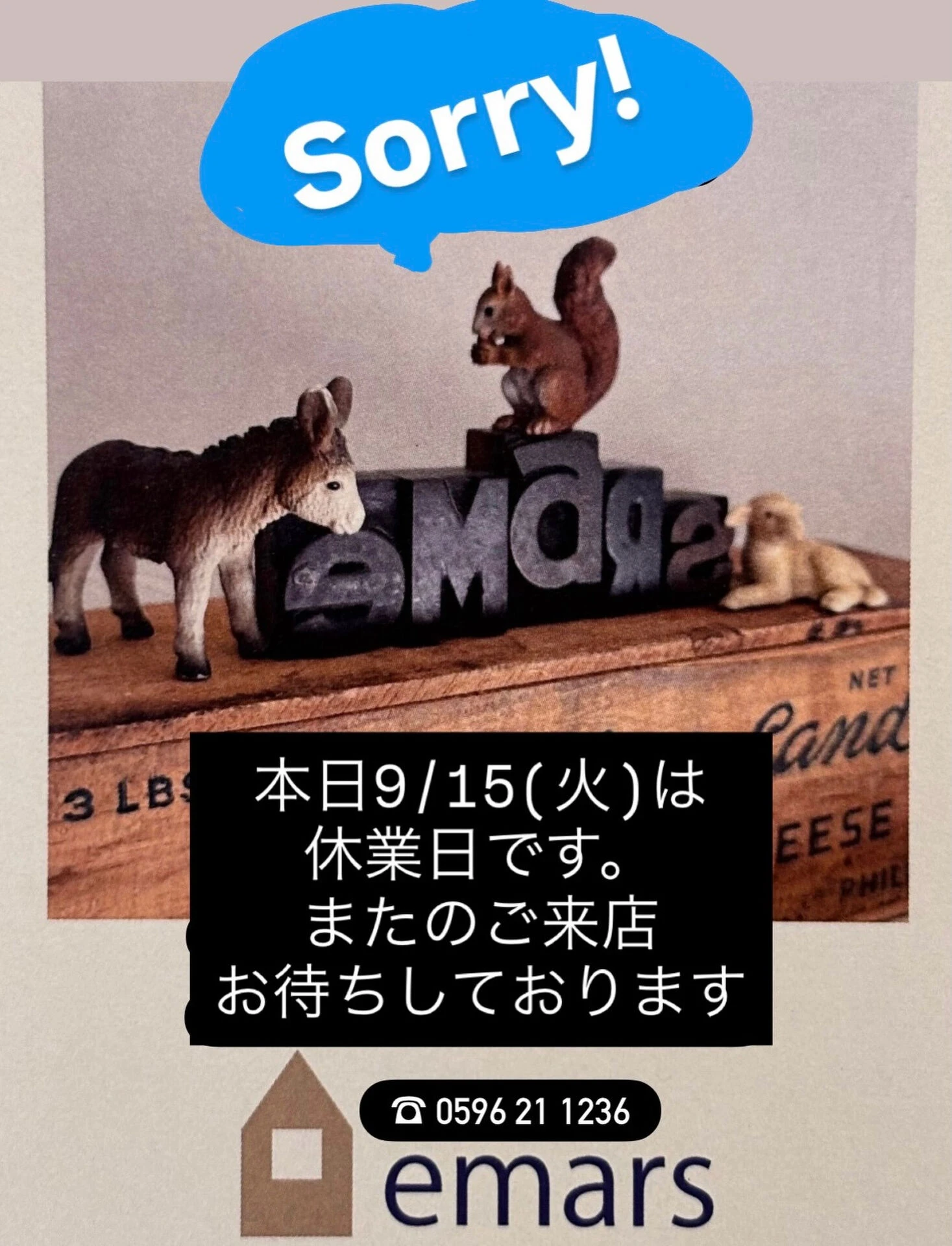 画像6752：本日 9/15(火)
