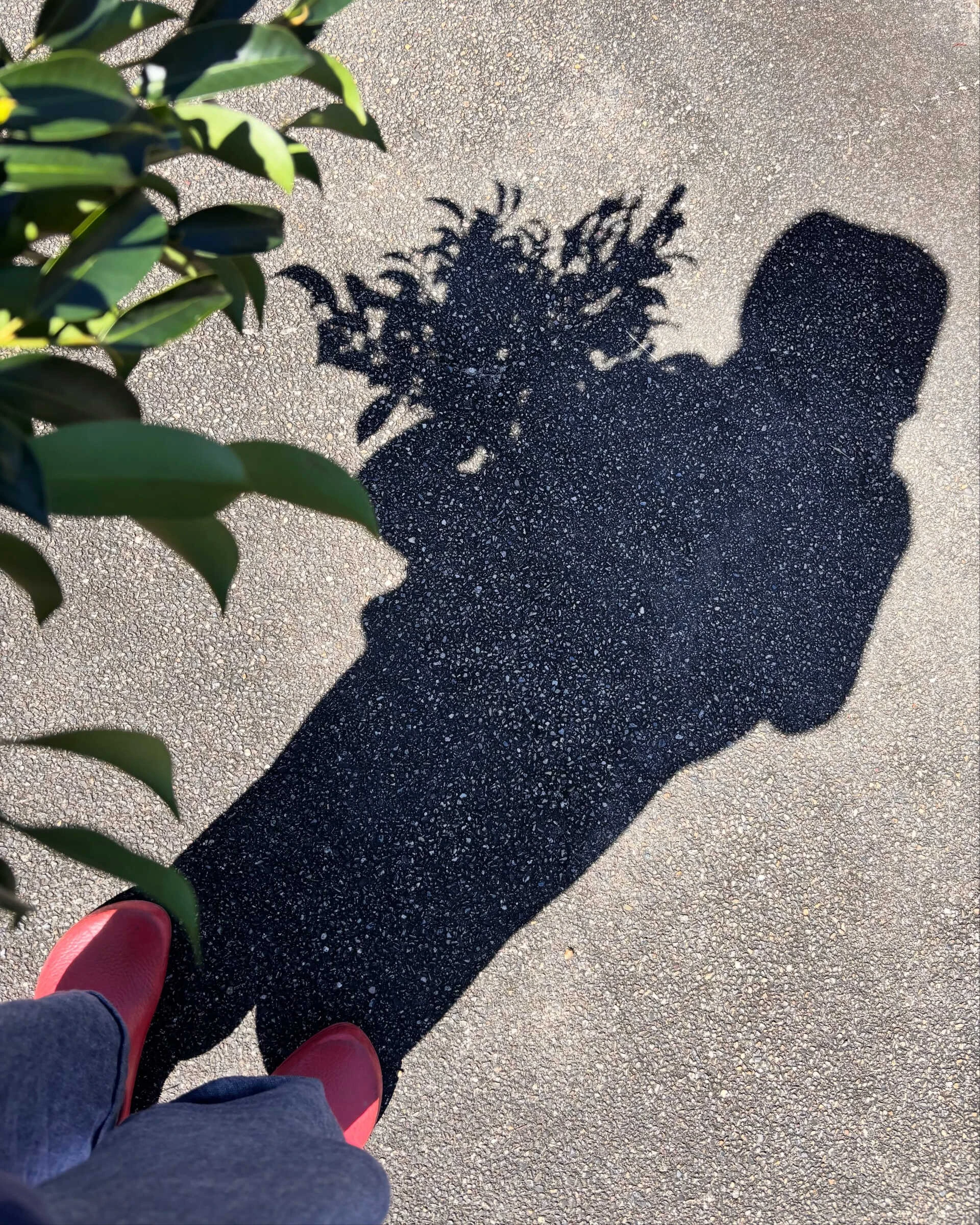 画像6867：今日も良い日