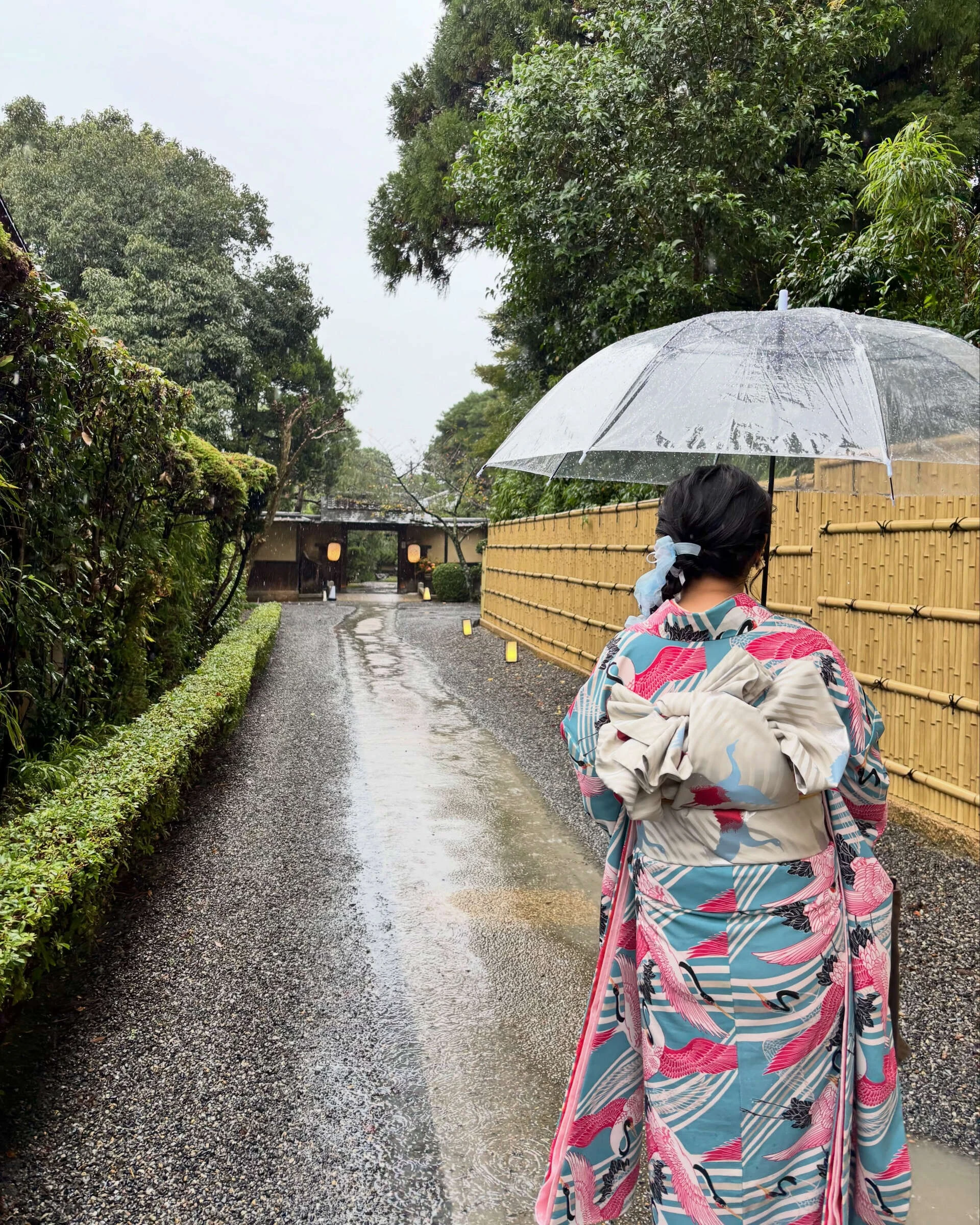 画像7052：今日も良い日